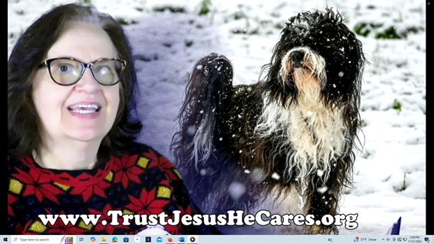 Christmas - The Big Hairy Dog